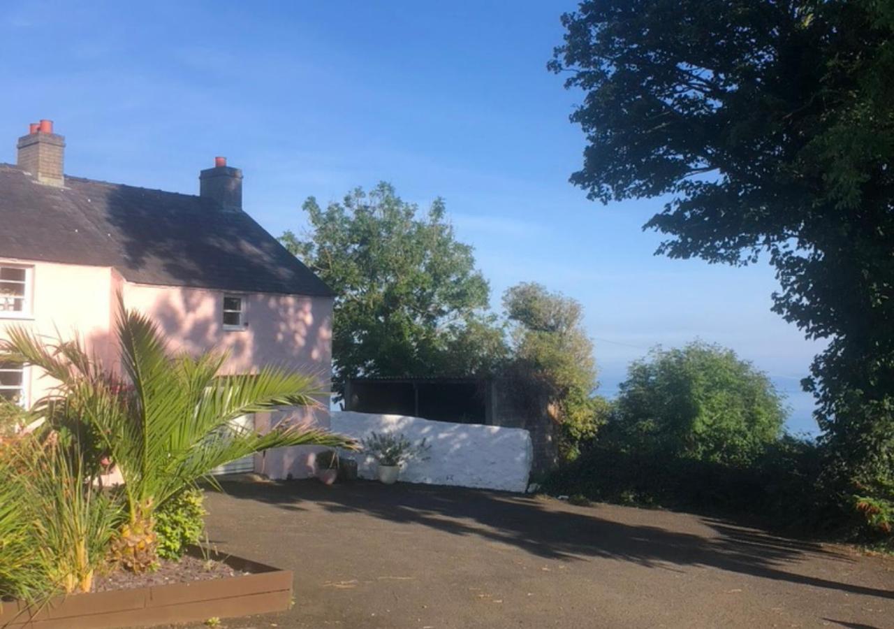 The Pink Cottage Upstairs Suite & Garden Summer Room Whitehead Exterior foto